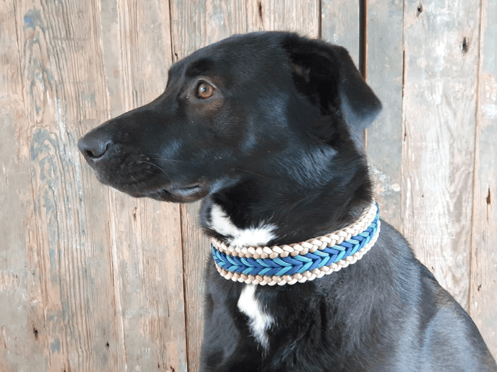 Stel deze halsband zelf samen!